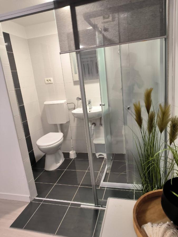Mihaela - Ana Apartma Cesarica